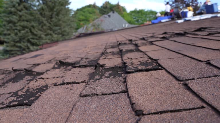 Best Asphalt Shingle Roofing  in Ashtabula, OH